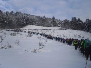 Sancy